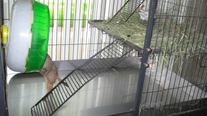 Bass Pans - Bottom Pan